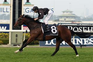 Ecuador wins the Listed Lord Mayor's Cup at Rosehill. Photo Credit: Equine Images.